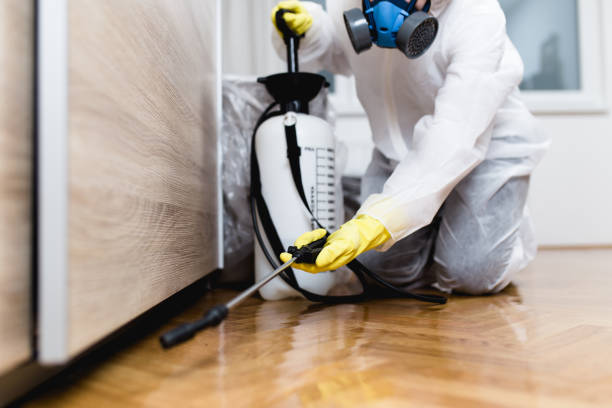 Best Pest Control Near Me  in Lincolnwood, IL
