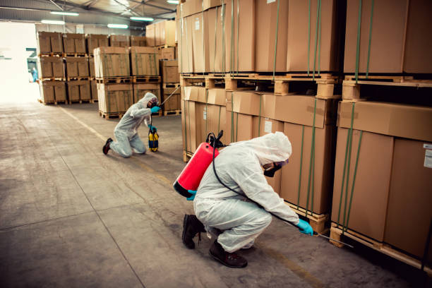 Best Emergency Pest Control  in Lincolnwood, IL