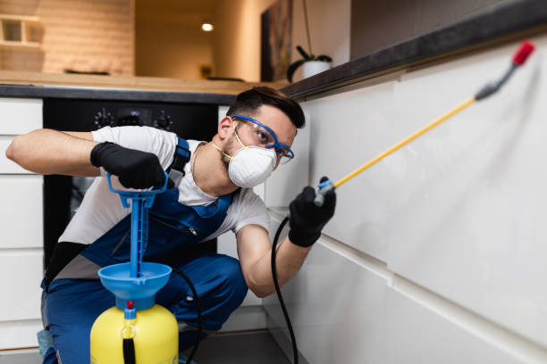 Pest Prevention Services in Lincolnwood, IL