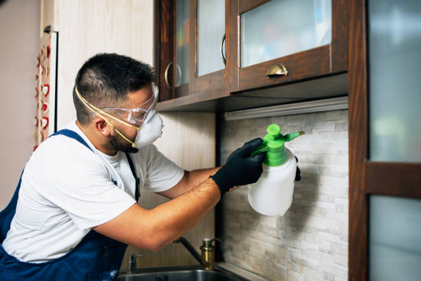 Best Residential Pest Control  in Lincolnwood, IL