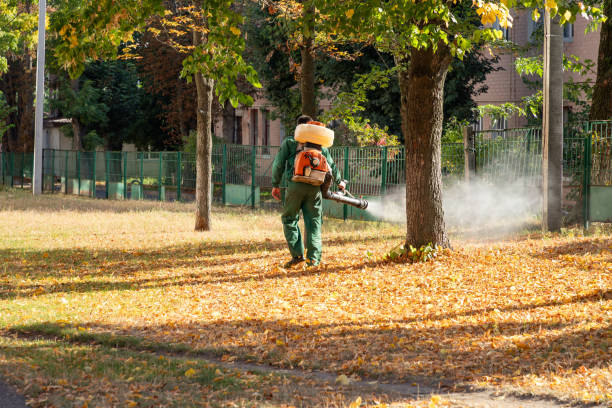 Pest Control for Restaurants in Lincolnwood, IL