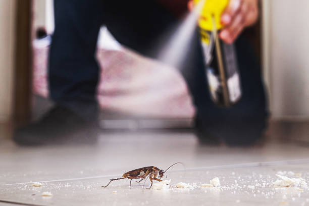 Best Cockroach Control Services  in Lincolnwood, IL